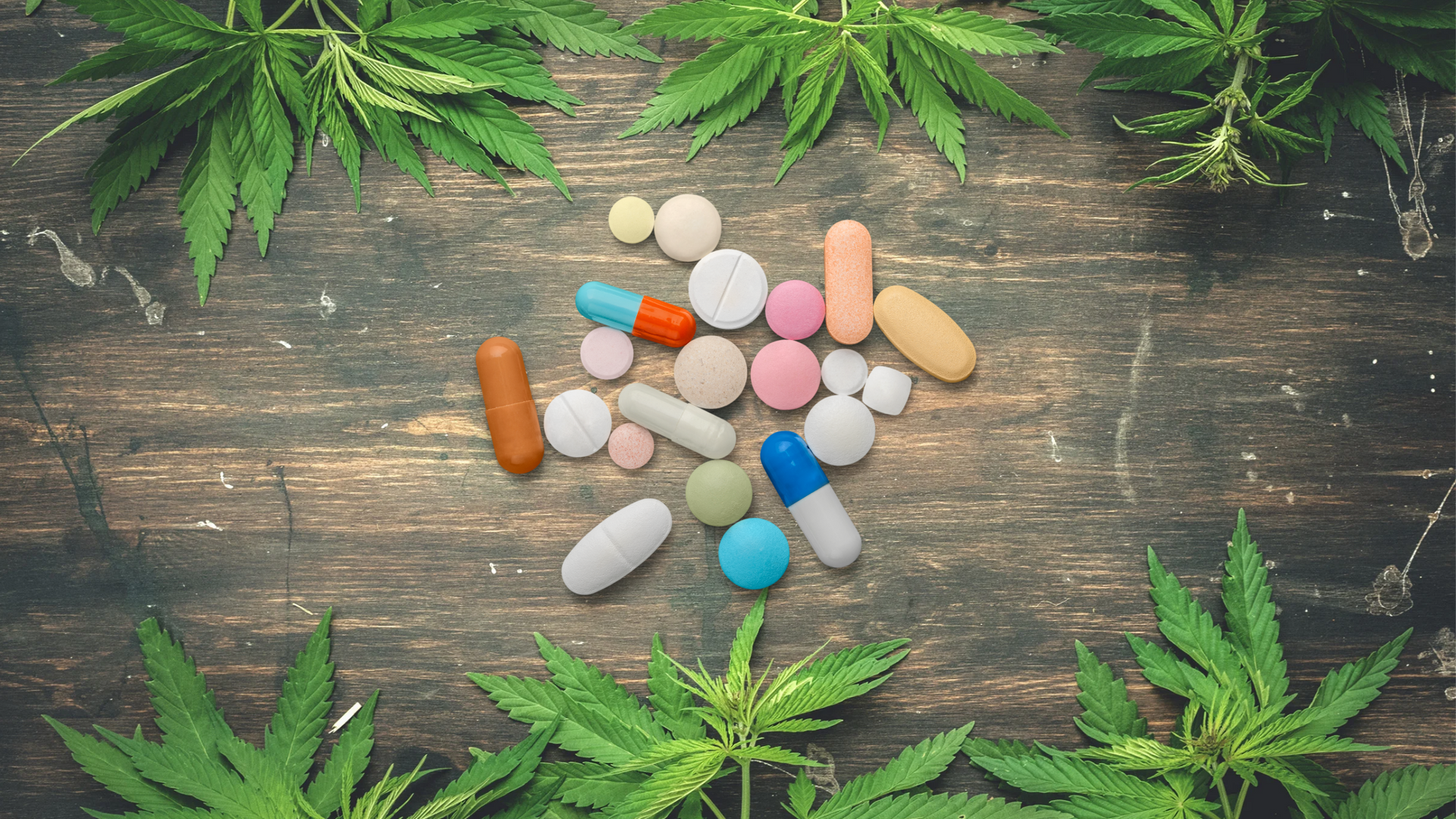 Are there any known interactions between cannabis and common over-the-counter drugs?